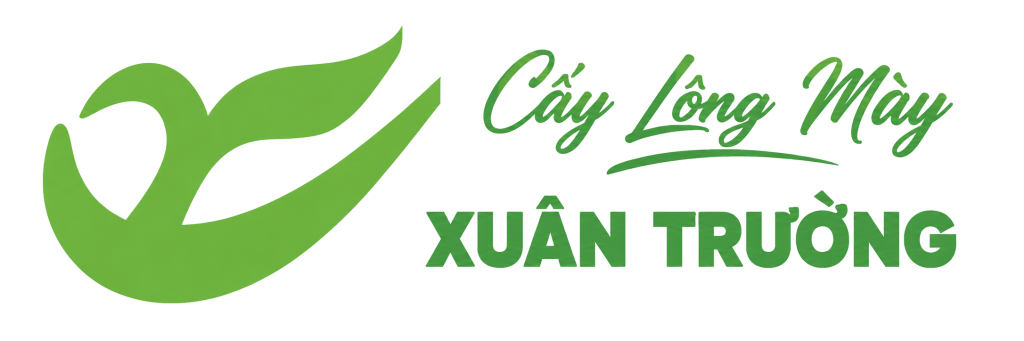 Cấy Lông Mày Sinh Học – Thẩm Mỹ Xuân Trường